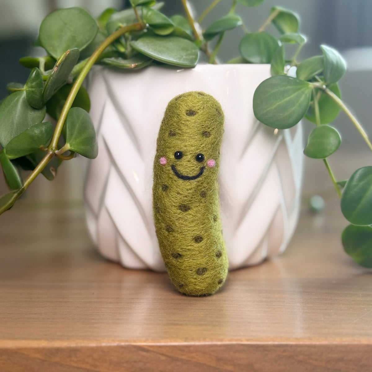 Smiling handmade dill pickle needle felting craft with plant in background, finished Feltie Kits DIY craft project