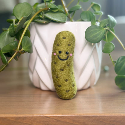 Smiling handmade dill pickle needle felting craft with plant in background, finished Feltie Kits DIY craft project