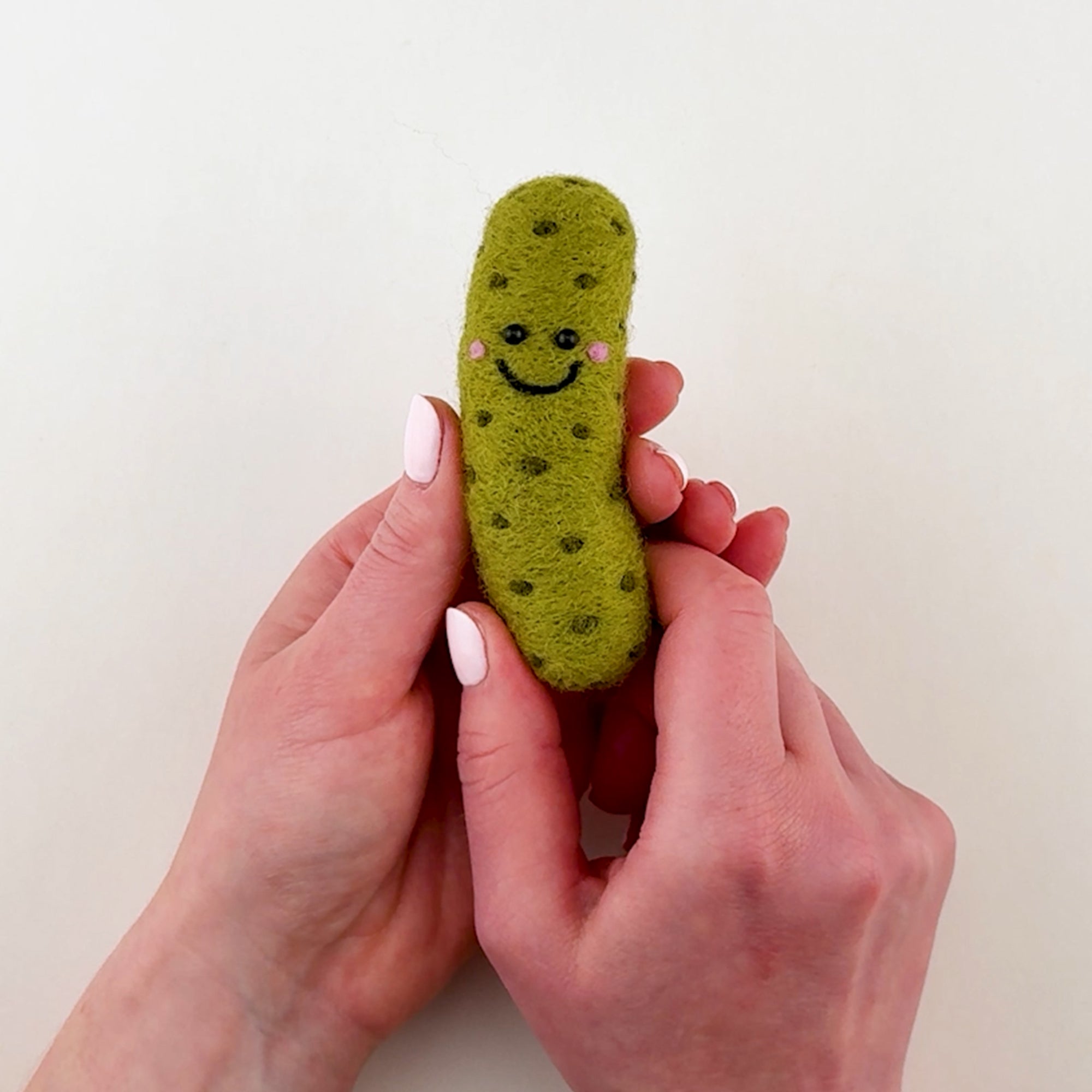 Introduction to the Feltie Kits The Big Dill Pickle needle felting project, showing the finished Feltie and an overview of what you’ll learn in the tutorial.