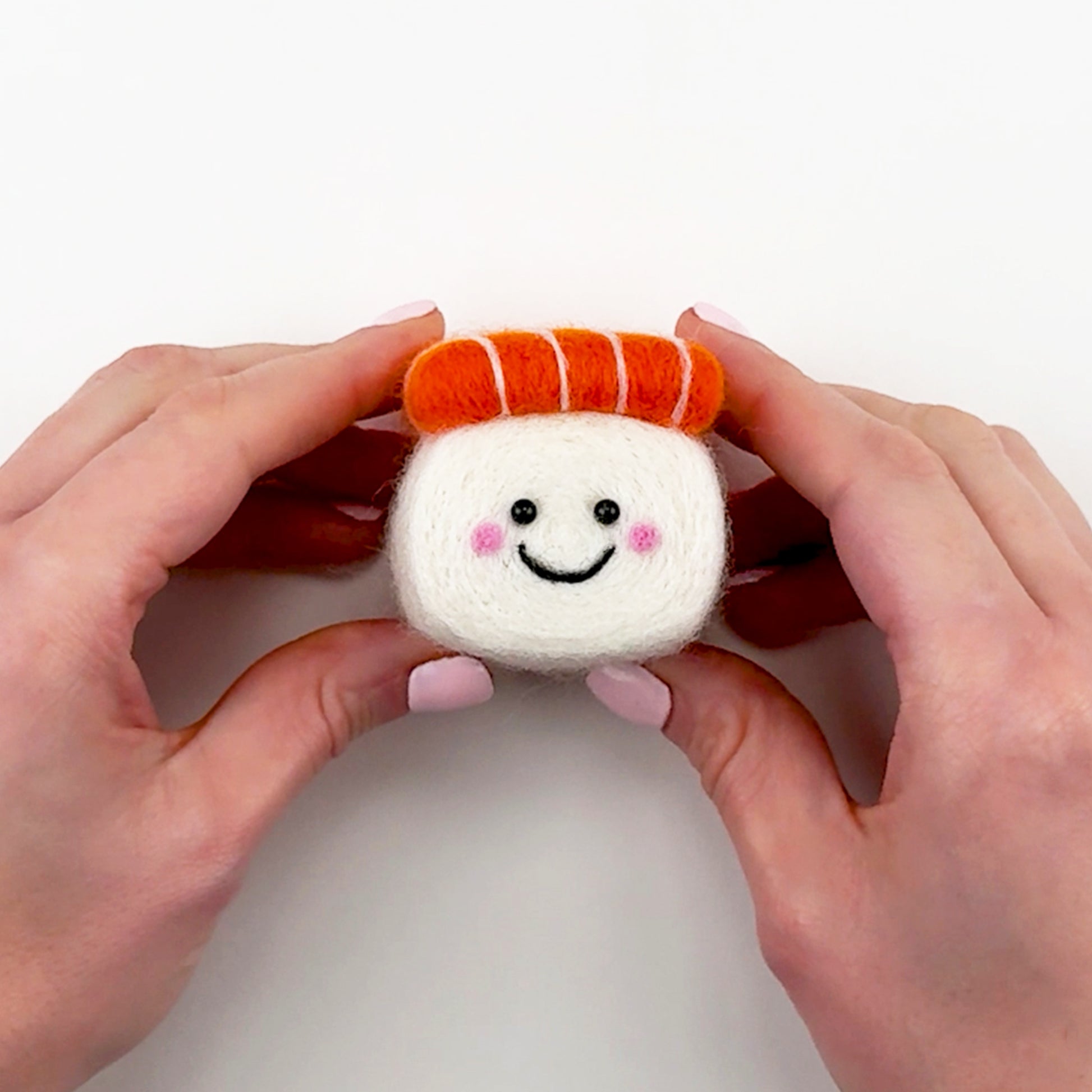 Introduction to the Feltie Kits Salmon Sushi needle felting project, showing the finished Feltie and an overview of what you’ll learn in the tutorial.